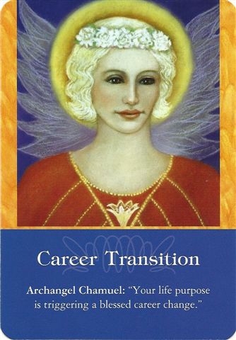 Daily Love Reading – Career Transition