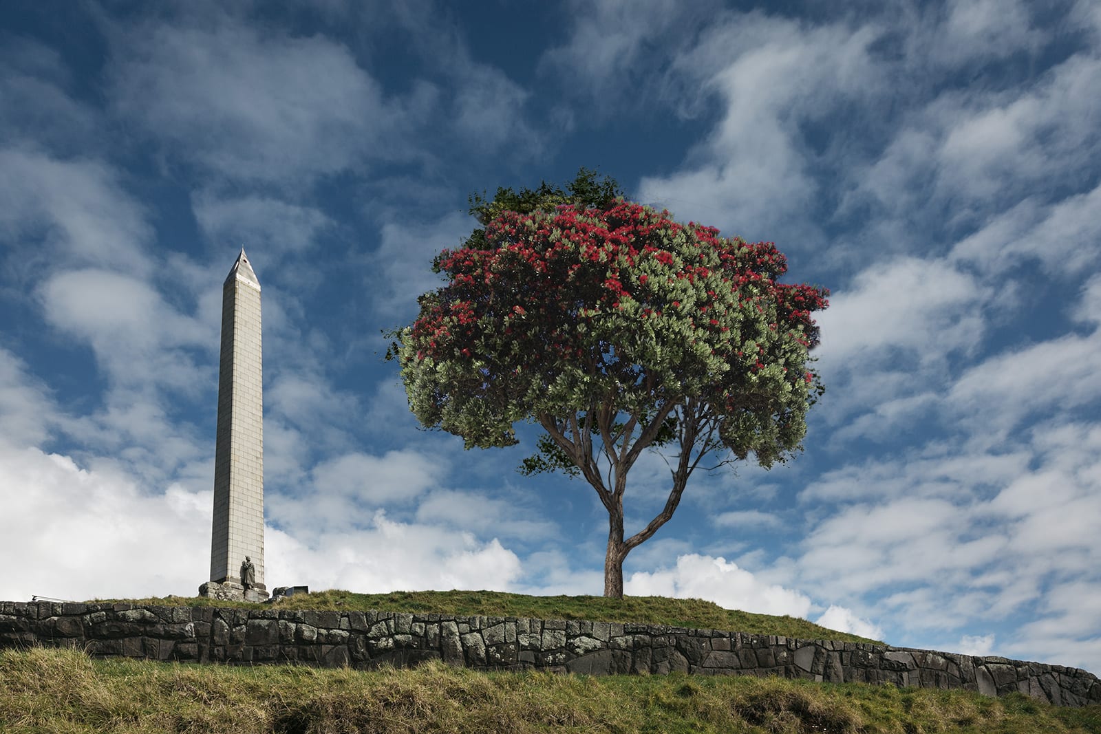 One Tree Hill - Custom Auckland Sightseeing Tour